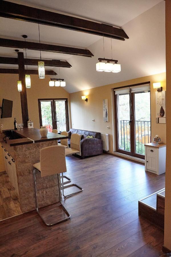 Apartament Rozelor 브라쇼브 외부 사진